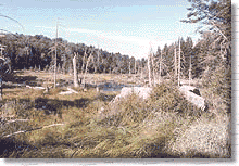 Adirondack Books, Adirondack Photos, Adirondack Postcards, Adirondack Mountains