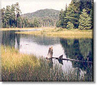NEW YORK VACATION RENTALS,Adirondack Lodging