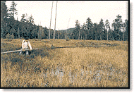 Adirondack Books,New York Authors,Mystery Books,Adirondack Guides,Guide  Books,Guides,guidebooks,History,Mystery,Reading,Hunting,Folklore,Wildlife,Adirondack Books, adirondack books, Adirondack Postcards, Adirondack Photographs