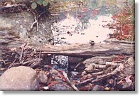 NEW YORK VACATION RENTALS,Adirondack Lodging